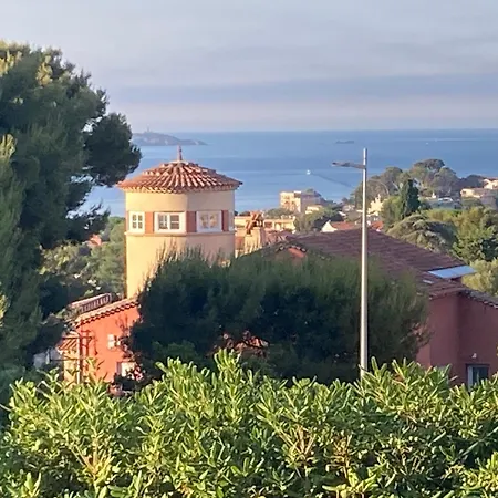 Les Agrumes * Bandol